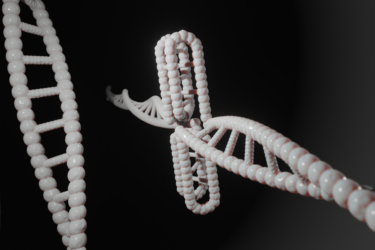 How have Philosophical Theories Shaped the Field of Genetics?